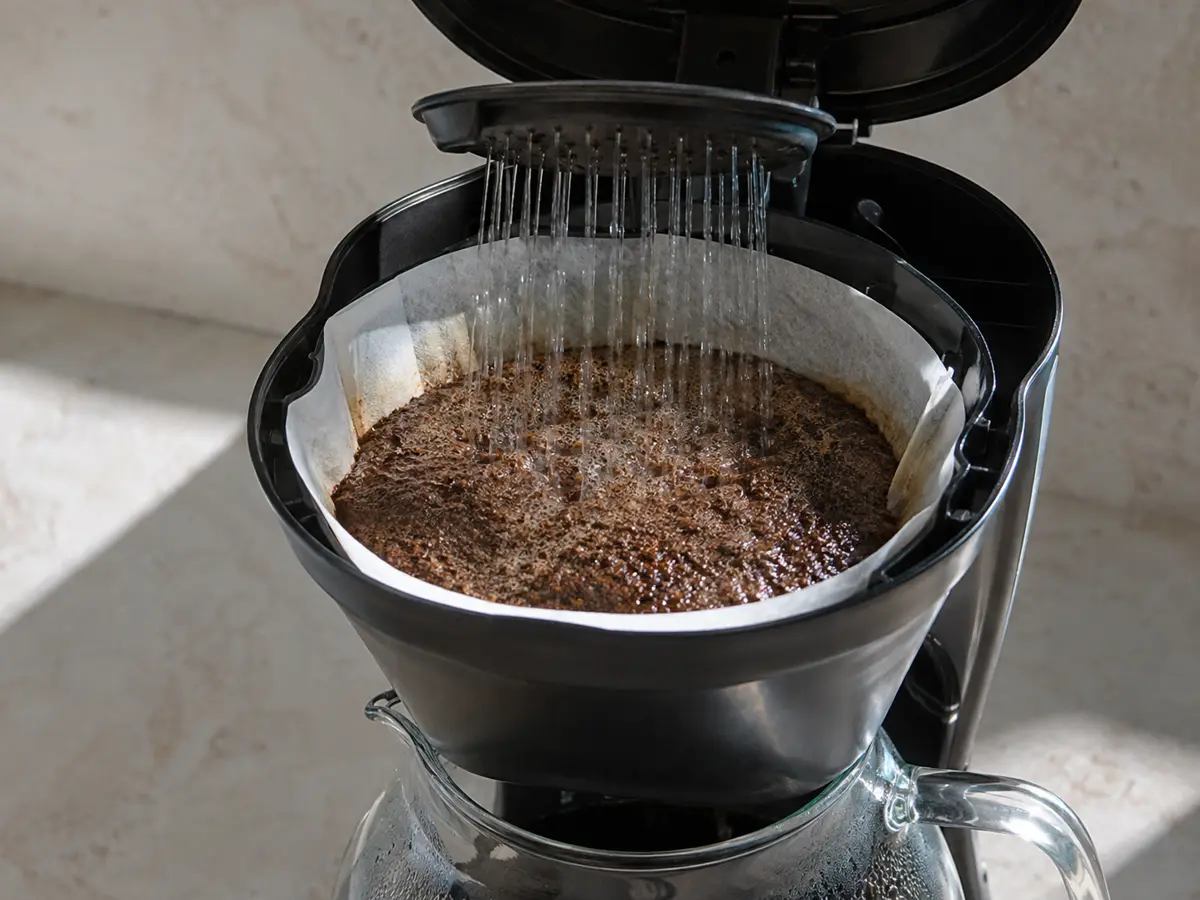 Open drip brewer showing evenly wetted coffee grounds beneath a multi-hole showerhead