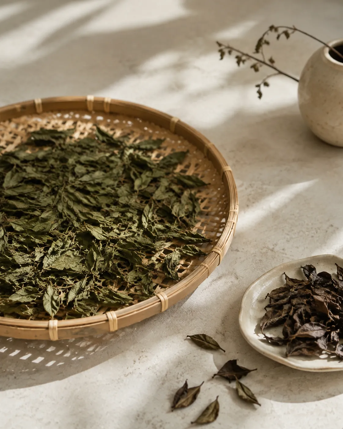 Dried leaves on a woven drying rack in daylight, most olive green with a few browned ones set apart