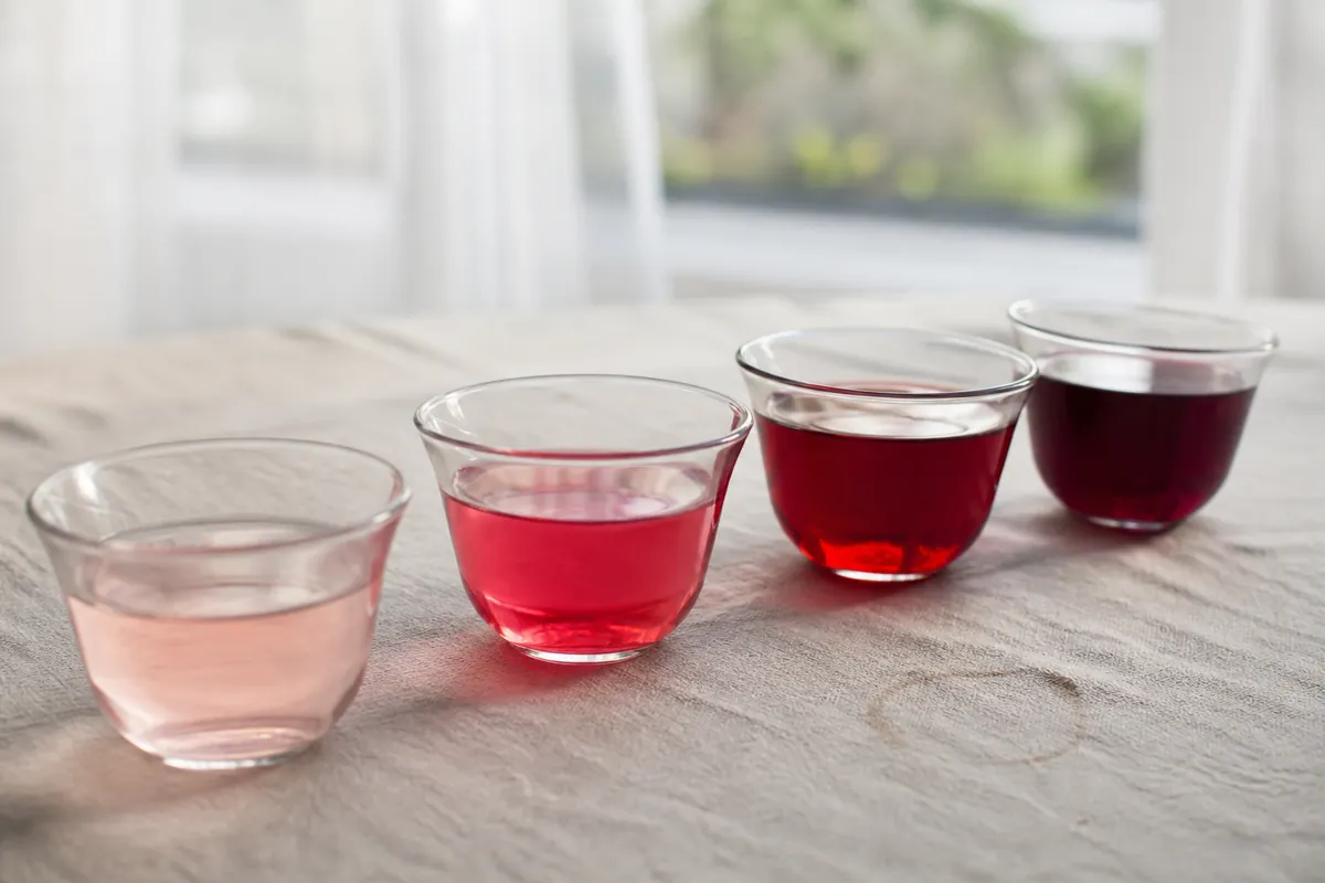 Four glass cups of hibiscus infusion backlit in a row, the colour running from pale pink through vivid ruby to deep purple-red