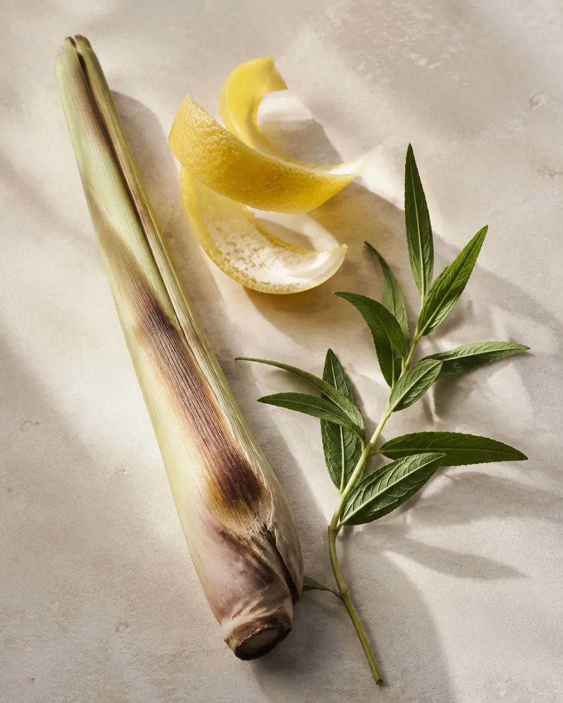 A bruised lemongrass stalk beside a strip of lemon peel and a sprig of lemon verbena on pale slate