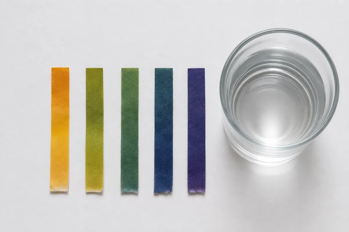 Five used pH test strips in a row on white paper, each a distinctly different colour from yellow-orange through green to deep blue-violet