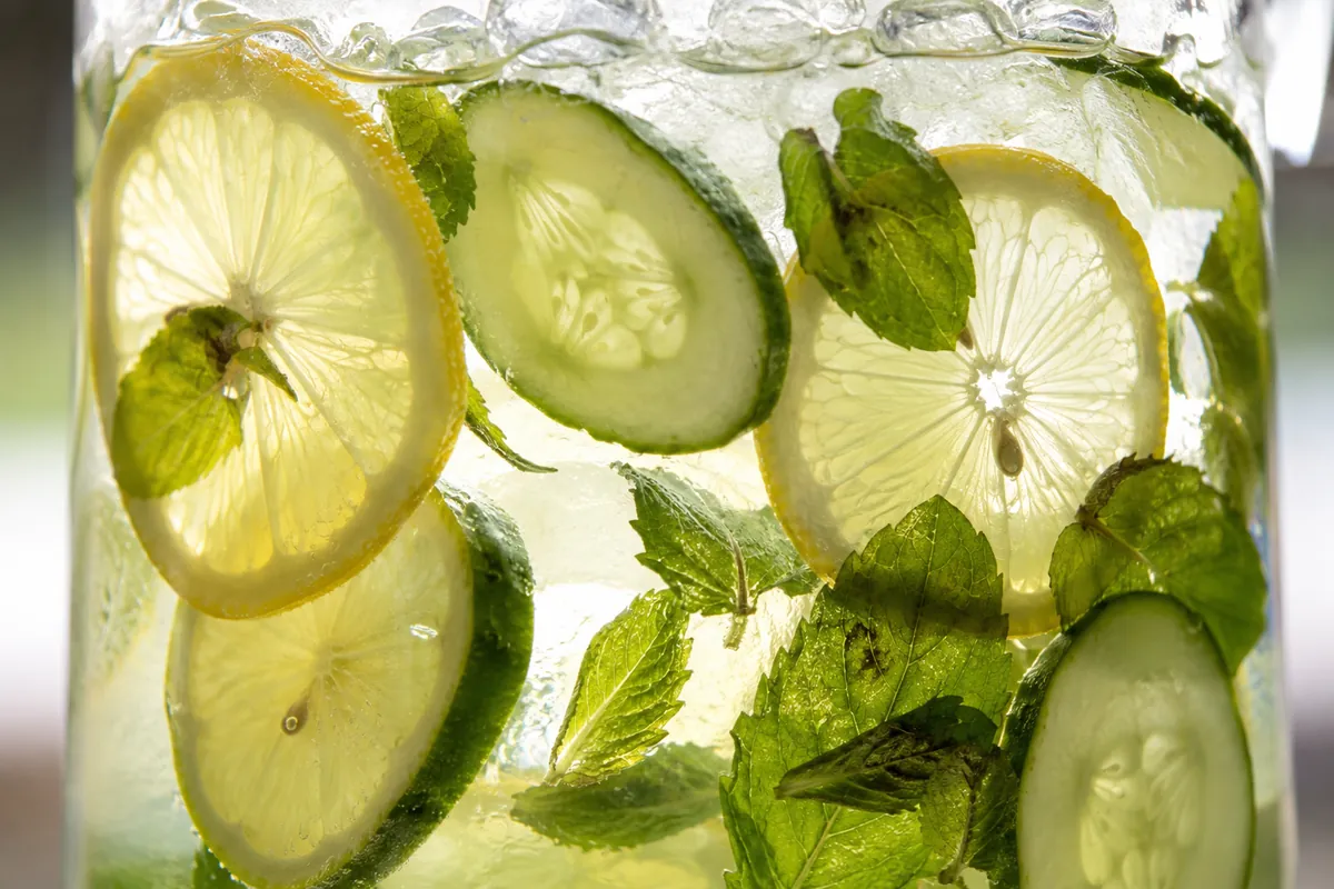 A glass jug of water with cucumber slices, lemon rounds and mint sprigs suspended through it, backlit