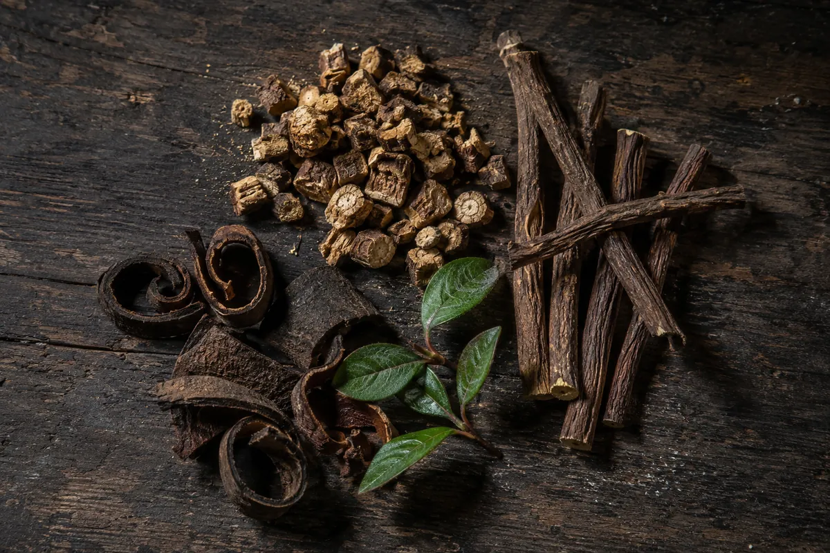 Dried sarsaparilla root, liquorice root, bark pieces and wintergreen leaves arranged on a dark weathered wooden surface