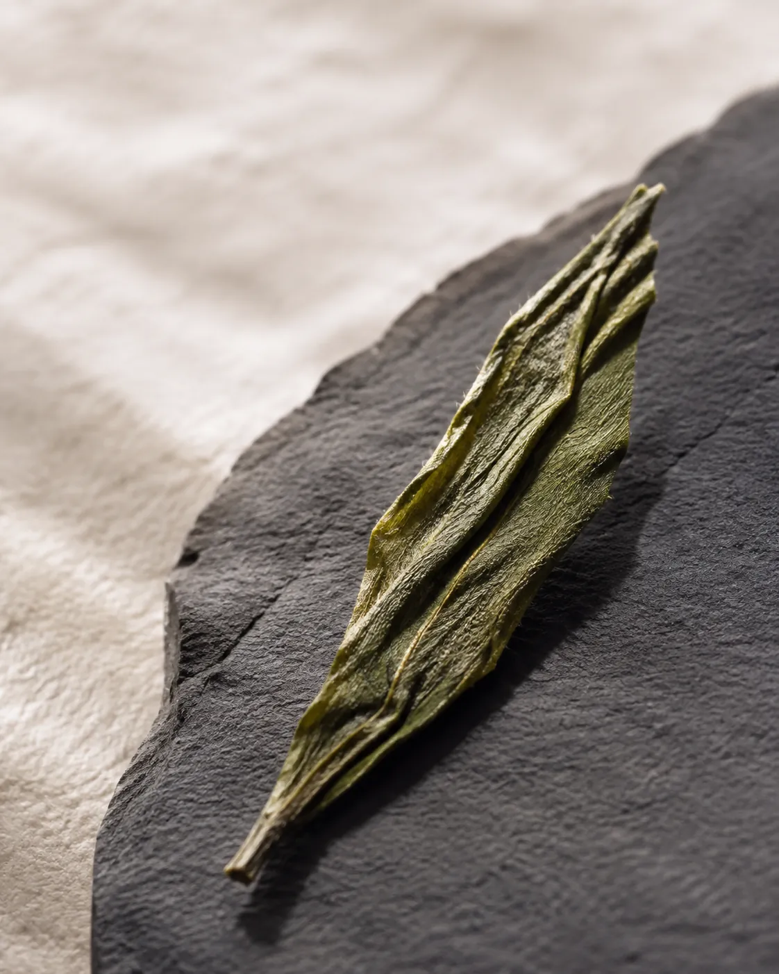 Extreme close view of a single dry green tea leaf showing its folded structure